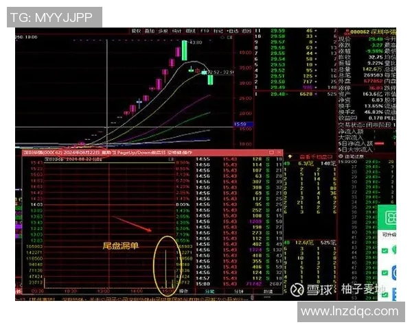 今晚试机号揭晓最新动态与中奖号码分析助你轻松把握购彩机会