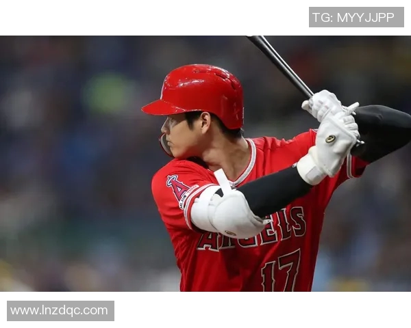 日本棒球队的辉煌历程与未来展望：从传统到现代的转变与挑战